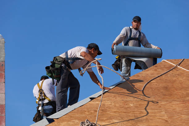 Best Roof Gutter Cleaning  in Rainbow Lakes, NJ